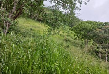 Villa-Quinta en  Chaguaní, Cundinamarca