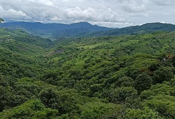 Lote de Terreno en  Carretera Jiquilpan-colima, El Veladero, Tamazula De Gordiano, Jalisco, 49663, Mex