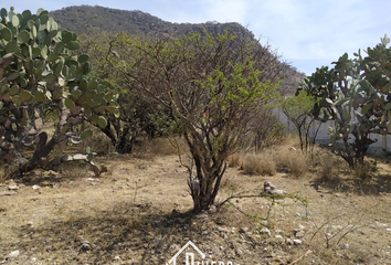 Lote de Terreno en  Los Girasoles, San Juan Del Río, San Juan Del Río, Querétaro