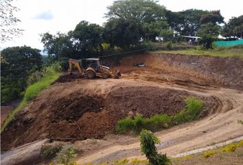 Lote de Terreno en  Palestina, Caldas