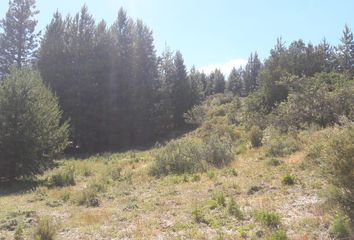 Terrenos en  Lácar, Neuquén, Arg