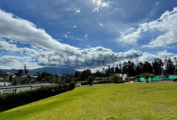 Terreno Comercial en  Pifo, Quito