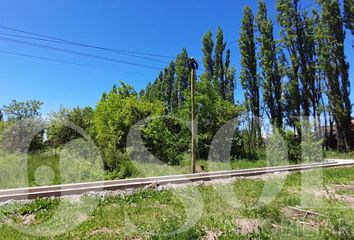 Terrenos en  Cipolletti, Río Negro