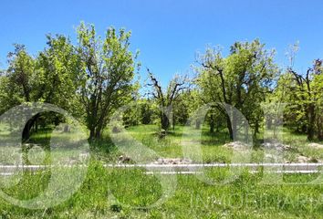 Terrenos en  Cipolletti, Río Negro