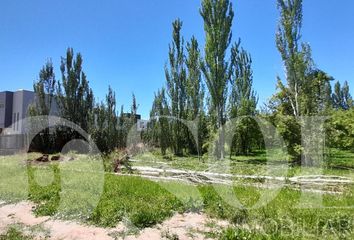 Terrenos en  Cipolletti, Río Negro