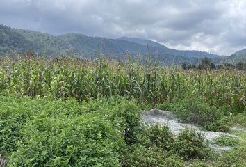 Lote de Terreno en  Camino Ál Kinder, Los Saucos, Valle De Bravo, México, 51245, Mex