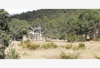 Lote de Terreno en  25389, Arteaga, Coahuila De Zaragoza, Mex