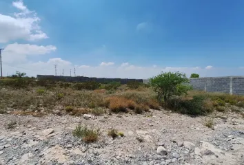 Lote de Terreno en  Calle Tulipán, El Refugio Tercera Etapa, Arteaga, Coahuila De Zaragoza, 25354, Mex