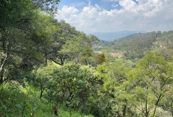 Lote de Terreno en  Prolongación Noche Buena, Las Huertas Primera Sección, Naucalpan De Juárez, México, 53427, Mex