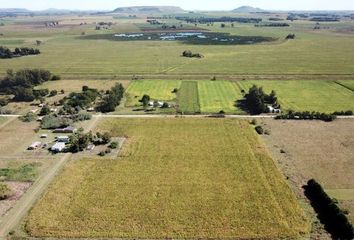 Terrenos en  Los Pinos, Partido De Balcarce