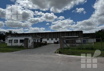 Galpónes/Bodegas en  Abasto, Partido De La Plata