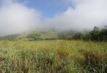 Rancho en  Calle Séptima P, Mirador, Cintalapa De Figueroa, Cintalapa, Chiapas, 30400, Mex