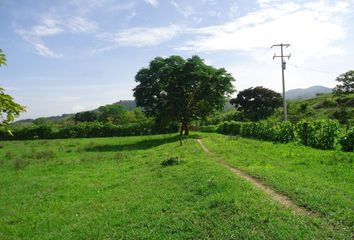 Rancho en  Calle 1a, Ejido Nueva Palestina, Jiquipilas, Chiapas, 30445, Mex