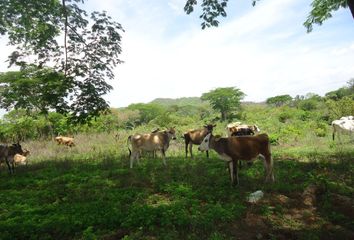 Rancho en  Avenida Cuauhtémoc, Ejido Cuauhtémoc, Jiquipilas, Chiapas, 30441, Mex