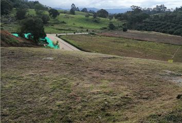 Lote de Terreno en  Rionegro Antioquía