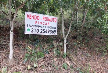 Lote de Terreno en  El Colegio, Cundinamarca