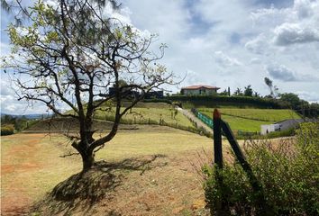 Lote de Terreno en  El Carmen De Viboral, Antioquia