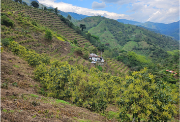 Villa-Quinta en  Pijao, Quindío