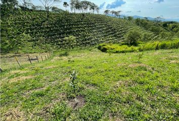 Lote de Terreno en  Alcalá, Valle Del Cauca