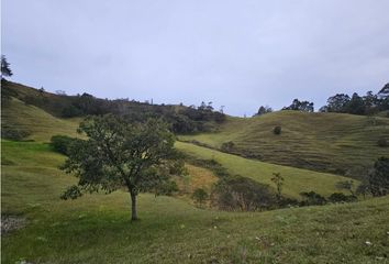 Lote de Terreno en  El Retiro, Antioquia