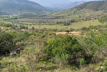 Parcela en  La Cruz, Quillota