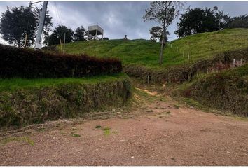 Local Comercial en  San Pedro De Los Milagros, Antioquia