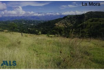 Lote de Terreno en  San Jerónimo, Antioquia