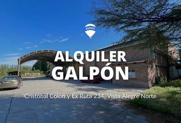 Galpónes/Bodegas en  Vista Alegre, Neuquen