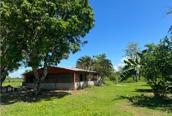 Villa-Quinta en  Coyaima, Tolima