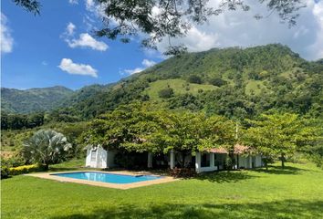 Lote de Terreno en  Fredonia, Antioquia