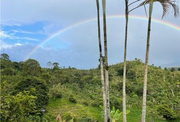 Villa-Quinta en  Salento, Quindío