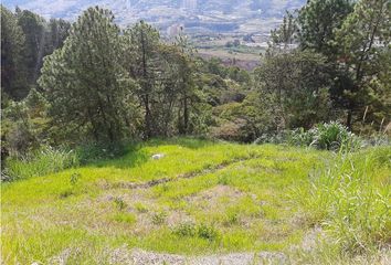 Lote de Terreno en  Bello, Antioquia