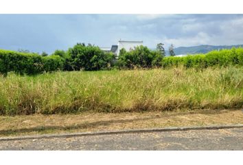 Lote de Terreno en  Campoalegre, El Cerrito Valle Del Cauca