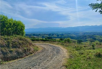 Lote de Terreno en  Alamos Del Café, Pereira