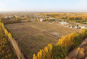 Terrenos en  Campo Grande, Río Negro