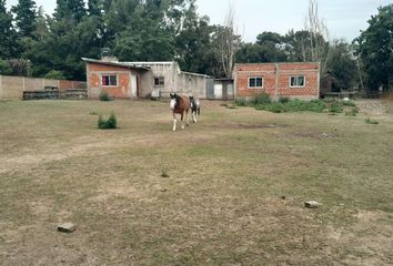 Casa en  Ministro Rivadavia, Partido De Almirante Brown