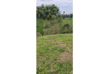 Lote de Terreno en  Alcalá, Valle Del Cauca