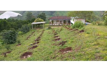 Villa-Quinta en  Sevilla, Valle Del Cauca