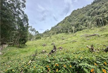 Lote de Terreno en  Rionegro Antioquía