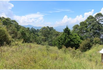 Lote de Terreno en  Laureles, Medellín