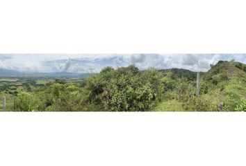 Lote de Terreno en  Colombia, Huila