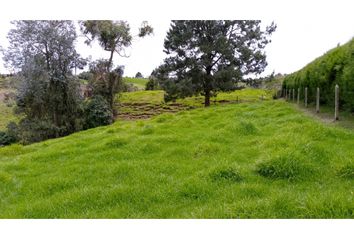 Lote de Terreno en  Guarne, Antioquia