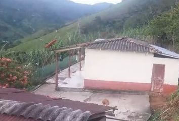 Villa-Quinta en  Cisneros, Antioquia