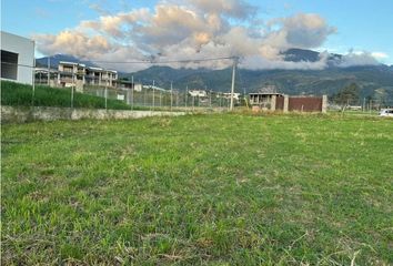 Lote de Terreno en  Campoalegre, El Cerrito Valle Del Cauca