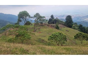 Lote de Terreno en  Campoalegre, El Cerrito Valle Del Cauca