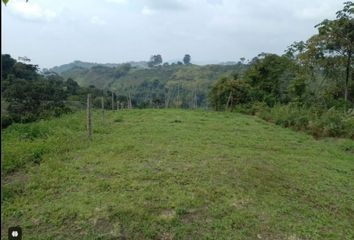 Lote de Terreno en  Kennedy, Pereira