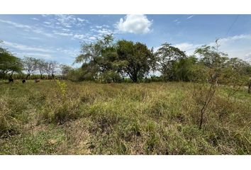 Lote de Terreno en  Porterillo, Palmira