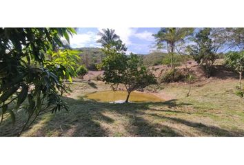 Lote de Terreno en  Anatolí, La Mesa