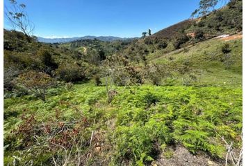 Lote de Terreno en  El Peñol, Antioquia