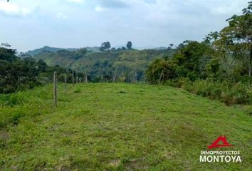 Lote de Terreno en  Kennedy, Pereira